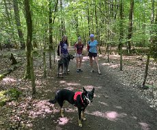 May - Old County Tops weekend